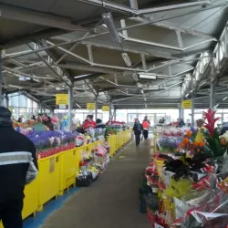 Campina Central Market - Campina