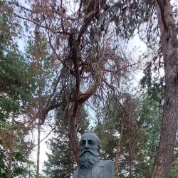 Iulia Hasdeu Castle - Campina