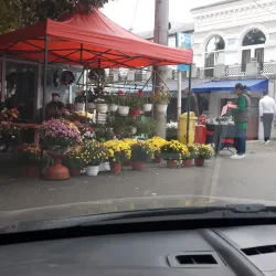 Local Markets and Festivals - Campulung