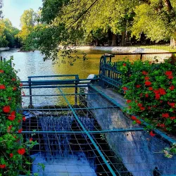 Caracal City Park - Caracal