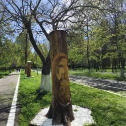 Caracal City Park - Caracal