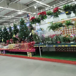 Local Markets and Bazaars - Caracal