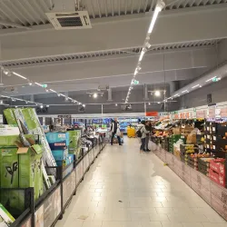 The Old Town Center - Caracal