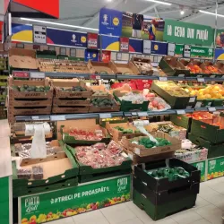 The Old Town Center - Caracal