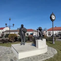 Carei City Park - Carei