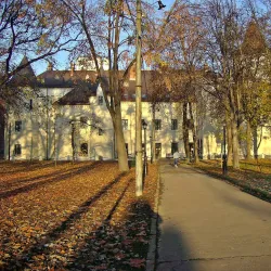 Carei City Park - Carei