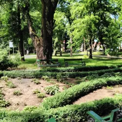 Carei City Park - Carei