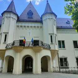 Carei City Park - Carei