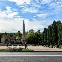 Carei City Park - Carei