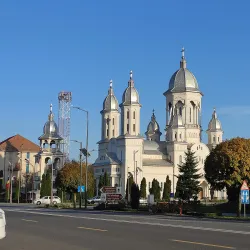 Carei City Park - Carei