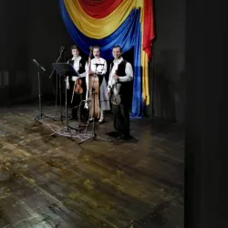 Carei Cultural Center - Carei