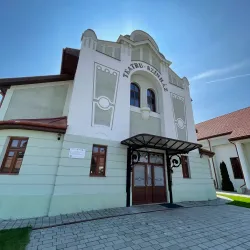 Carei Cultural Center - Carei