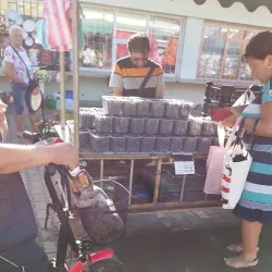 Carei Market - Carei