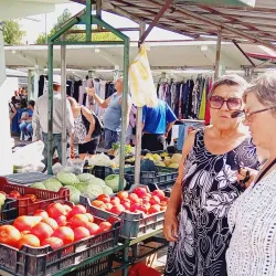 Carei Market - Carei