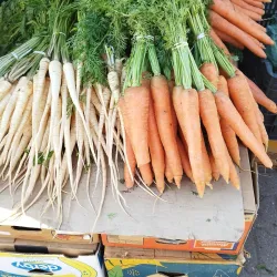 Carei Market - Carei