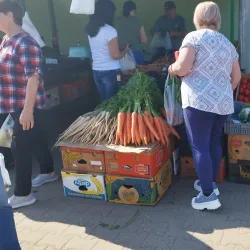 Carei Market - Carei