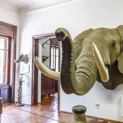 Carei Museum - Carei