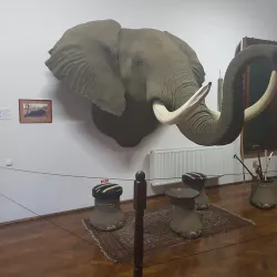 Károlyi Castle - Carei