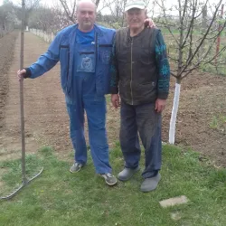 Reformed Church of Carei - Carei