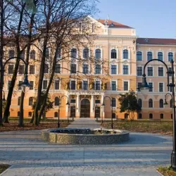 Chisineu-Cris Town Museum - Chisineu-Cris