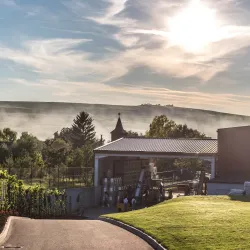 Local Vineyards and Wineries - Chisineu-Cris