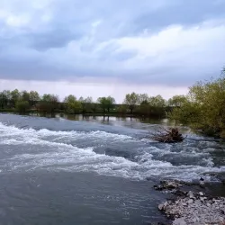 Mures River - Chisineu-Cris