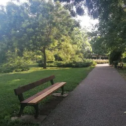 Chitila Park - Chitila