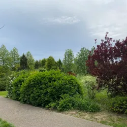 Chitila Park - Chitila