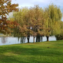 Chitila Park - Chitila