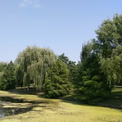 Chitila Park - Chitila