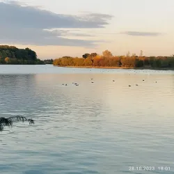 Chitila Park - Chitila