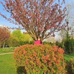 Chitila Park - Chitila