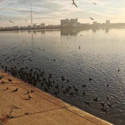 Parcul Crângași - Chitila