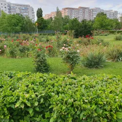 Parcul Crângași - Chitila