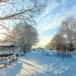 Parcul Crângași - Chitila