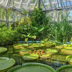 Botanical Garden Alexandru Borza - Cluj-Napoca