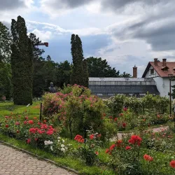 Botanical Garden Alexandru Borza - Cluj-Napoca