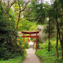 Botanical Garden Alexandru Borza - Cluj-Napoca