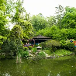 Botanical Garden Alexandru Borza - Cluj-Napoca