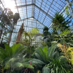 Botanical Garden Alexandru Borza - Cluj-Napoca