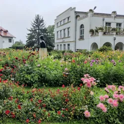 Botanical Garden Alexandru Borza - Cluj-Napoca