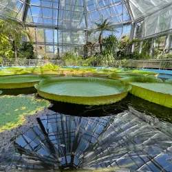 Botanical Garden Alexandru Borza - Cluj-Napoca