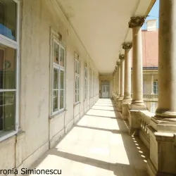 Cluj-Napoca National Museum of Art - Cluj-Napoca