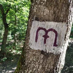 Hoia Forest - Cluj-Napoca