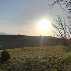 Hoia Forest - Cluj-Napoca