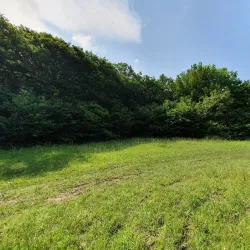 Hoia Forest - Cluj-Napoca