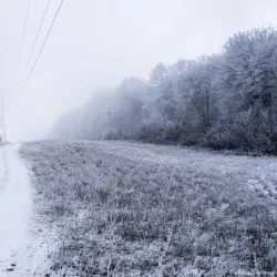 Hoia Forest - Cluj-Napoca