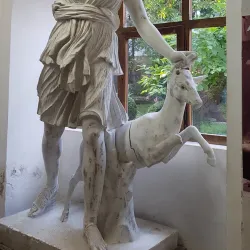 Matthias Corvinus House - Cluj-Napoca