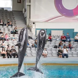Aquarium and Dolphinarium - Constanta