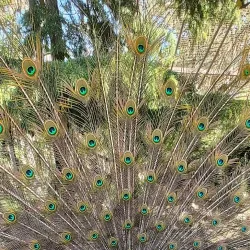 Aquarium and Dolphinarium - Constanta